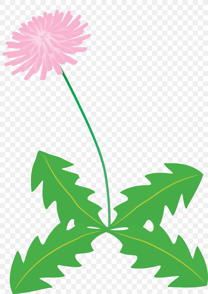 Dandelion Flower, PNG, 2121x2999px, Dandelion Flower, Arums, Branch, Common Daisy, Floral Design Download Free