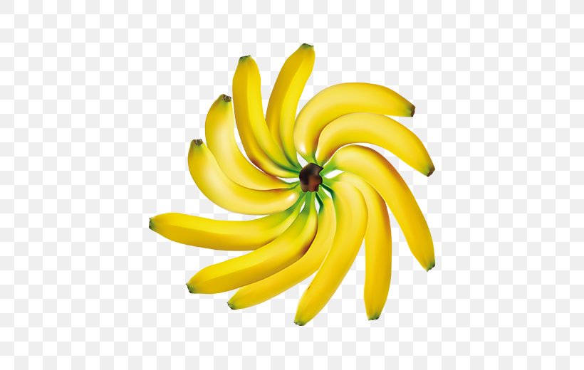 Decorative Corners Fruit Banana Clip Art, PNG, 640x520px, Decorative Corners, Banana, Banana Family, Borders And Frames, Flower Download Free