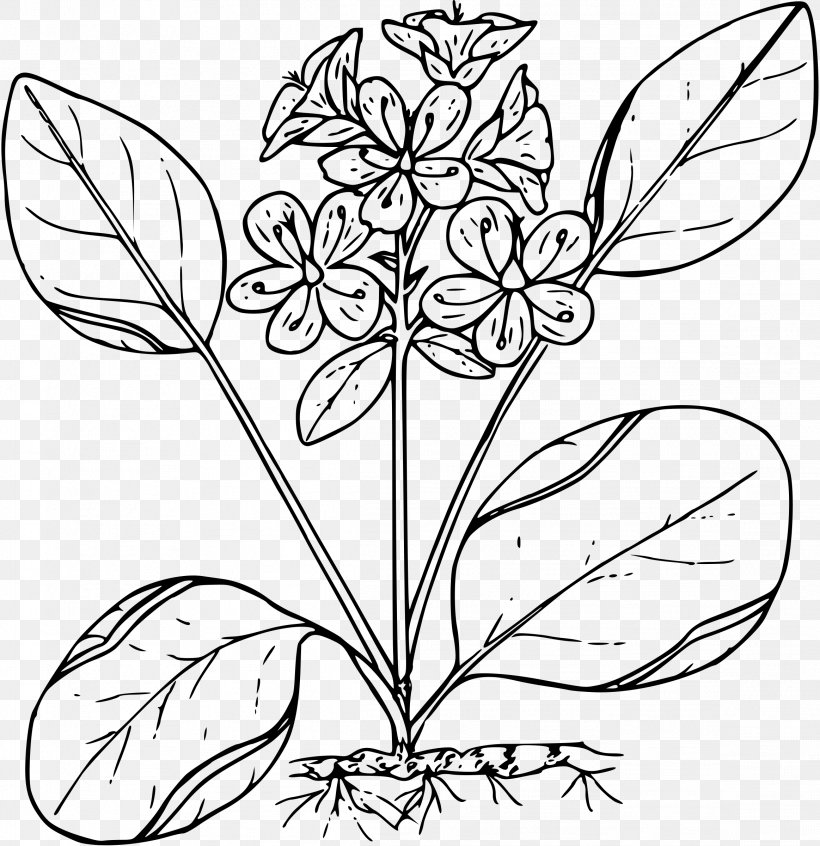 Floral Design Cut Flowers Clip Art, PNG, 2326x2400px, Floral Design, Artwork, Black And White, Branch, Coloring Book Download Free