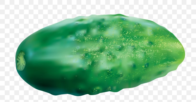Pickled Cucumber Melon, PNG, 800x429px, Cucumber, Carrot, Cucumber Gourd And Melon Family, Cucumis, Gherkin Download Free