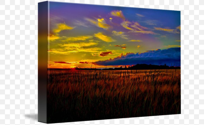 Painting Picture Frames Gallery Wrap Canvas Art, PNG, 650x503px, Painting, Art, Canvas, Dawn, Gallery Wrap Download Free