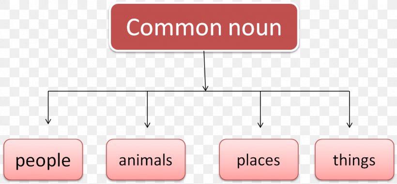 Proper Noun Soortnaam Word Sentence, PNG, 1145x533px, Noun, Area, Brand, Capitalization, Diagram Download Free