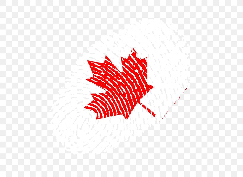 Teacher Day Background, PNG, 500x600px, Canada Day, Amaluna, Canada, Leaf, Logo Download Free