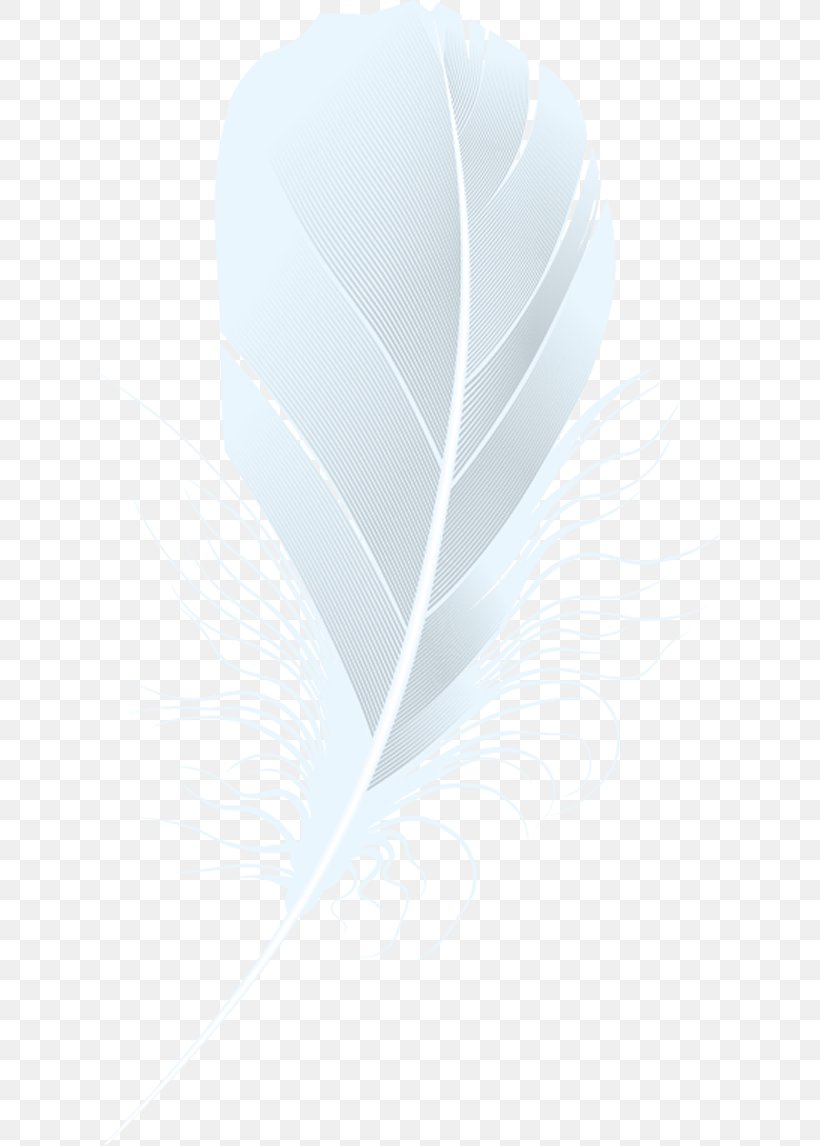 White Feather., PNG, 627x1146px, Feather, Business Cards, Closeup, Computer, Dentistry Download Free