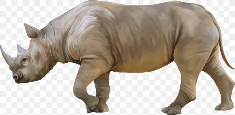 White Rhinoceros Black Rhinoceros Clip Art, PNG, 1215x600px, Rhinoceros, Animal, Animal Figure, Black Rhinoceros, Document Download Free