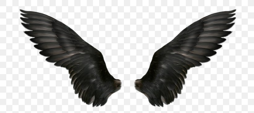 Clip Art, PNG, 733x366px, Feather, Angel, Beak, Black, Black And White Download Free