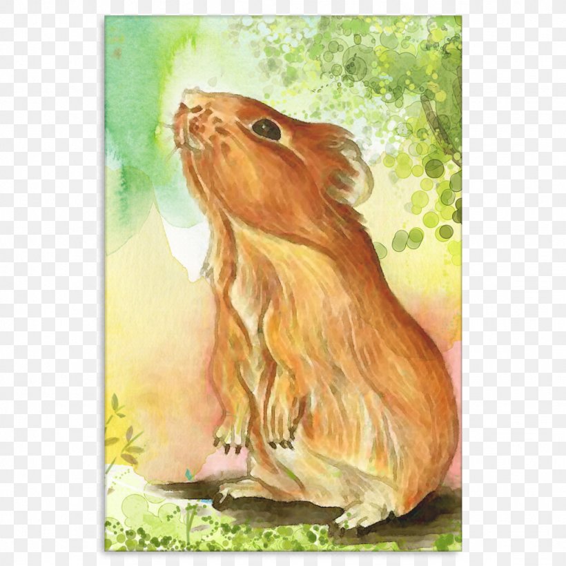 Guinea Pig Watercolor Painting Hare, PNG, 1024x1024px, Guinea Pig, Deliberative Assembly, Fauna, Guinea, Hare Download Free