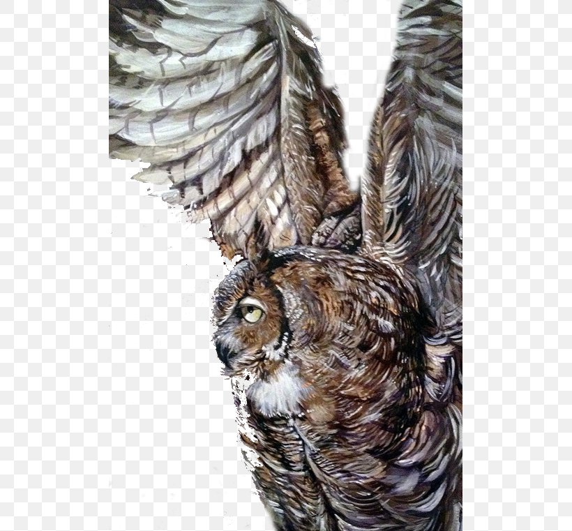 Owl Illustrator, PNG, 507x761px, 2d Computer Graphics, Owl, Beak, Bird, Bird Of Prey Download Free