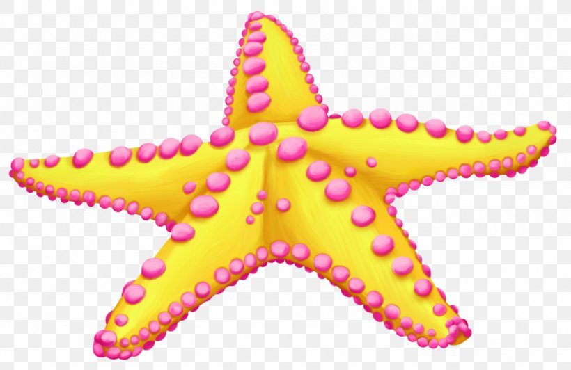 Starfish Clip Art Sea Image, PNG, 1280x831px, Starfish, Blog, Drawing, Echinoderm, Invertebrate Download Free