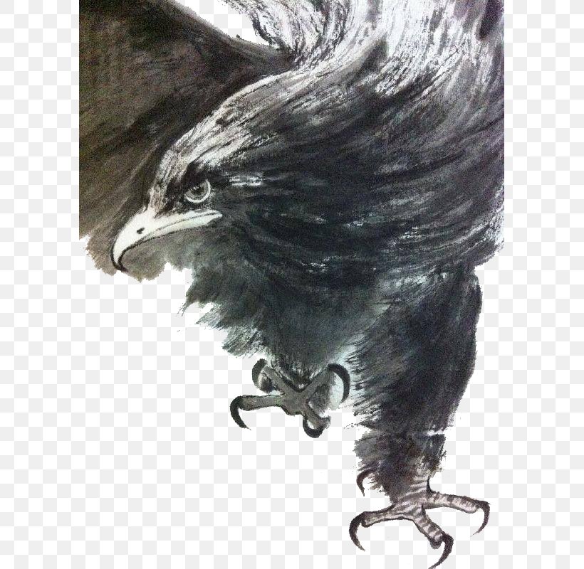 U6c34u58a8u753bu9e70 Ink Wash Painting Eagle, PNG, 597x800px, Ink Wash Painting, Beak, Bird, Bird Of Prey, Black And White Download Free