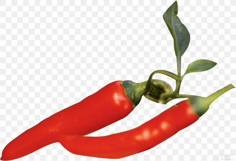 Bird's Eye Chili Bell Pepper Serrano Pepper Cayenne Pepper Tabasco Pepper, PNG, 1973x1351px, Birds Eye Chili, Bell Pepper, Bell Peppers And Chili Peppers, Capsicum, Cayenne Pepper Download Free