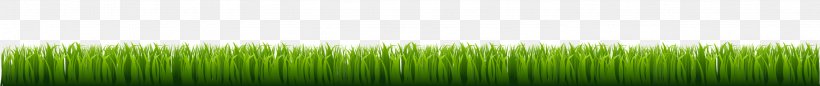 Green Angle, PNG, 3001x318px, Green, Grass, Grass Family Download Free