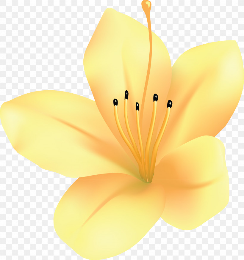 Azalea Spring Flower Azalea Flower, PNG, 2808x2999px, Azalea, Azalea Flower, Flower, Hibiscus, Lily Download Free