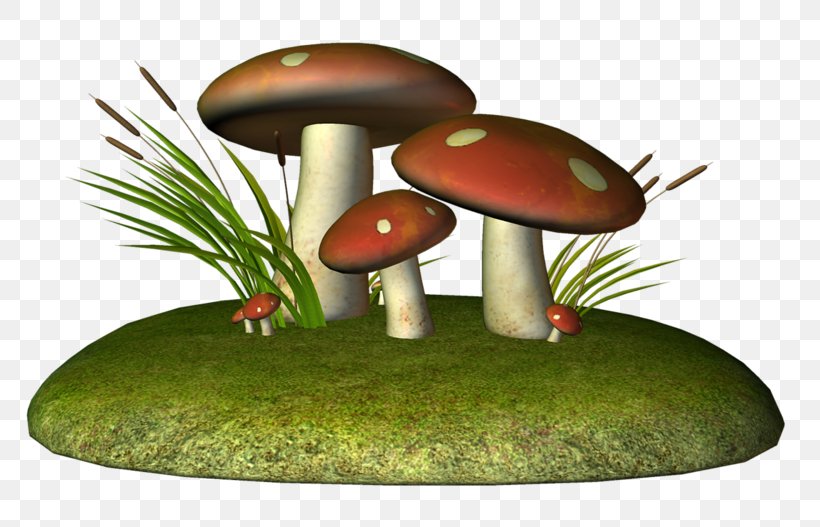 Drawing Fungus Mushroom Pencil, PNG, 800x527px, Drawing, Autumn, Champagne, Clock, Fungus Download Free