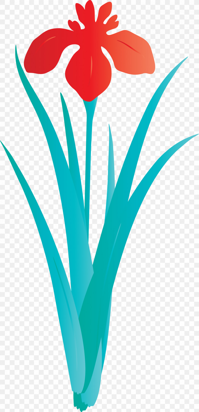 Iris Flower Spring Flower, PNG, 1453x3000px, Iris Flower, Aqua, Spring Flower, Teal, Tulip Download Free