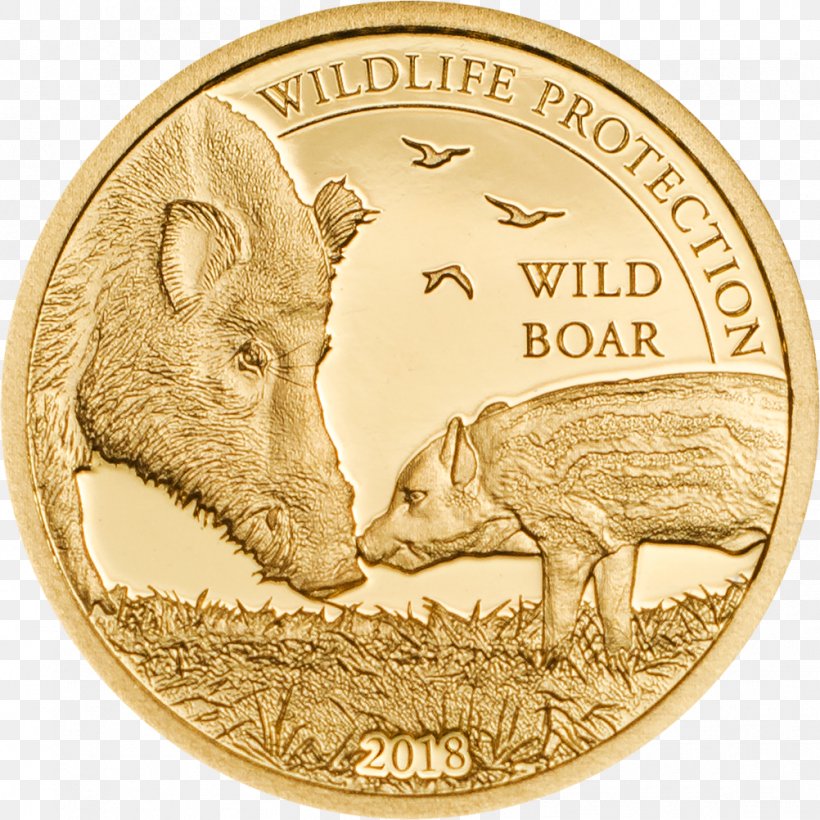 Mongolia Wild Boar Silver Coin, PNG, 1002x1002px, Mongolia, American Gold Eagle, Bullion Coin, Cash, Coin Download Free