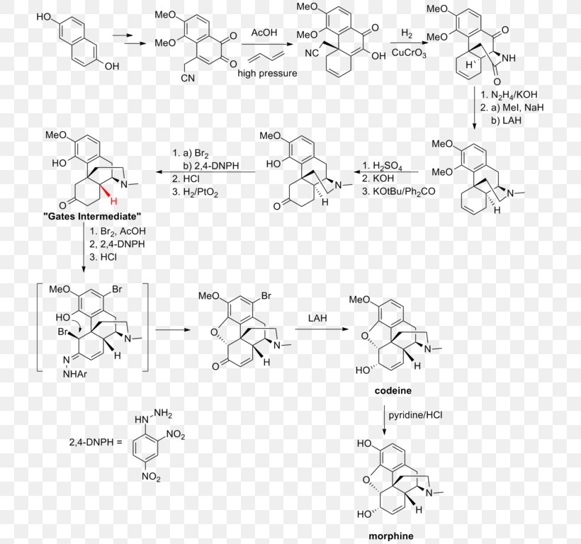 Total Synthesis Of Morphine And Related Alkaloids Chemical Synthesis Biosynthesis, PNG, 722x768px, Morphine, Alkaloid, Area, Auto Part, Biosynthesis Download Free