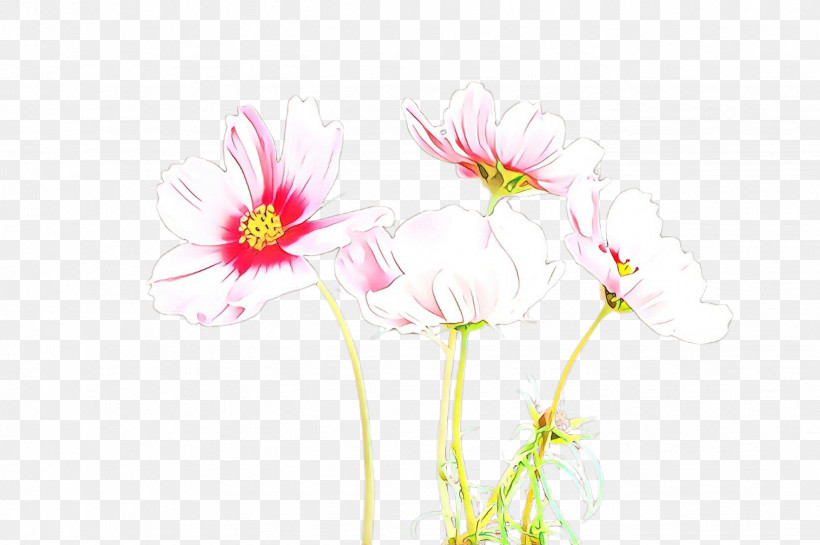 Flower Pink Plant Petal Gerbera, PNG, 2452x1632px, Flower, Gerbera, Pedicel, Petal, Pink Download Free