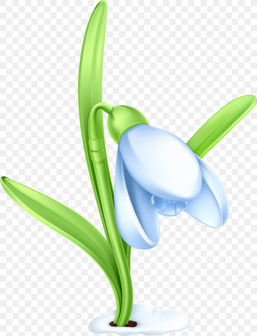 Snowdrop Clip Art, PNG, 1173x1537px, Snowdrop, Color, Flower, Flowering Plant, Grass Download Free