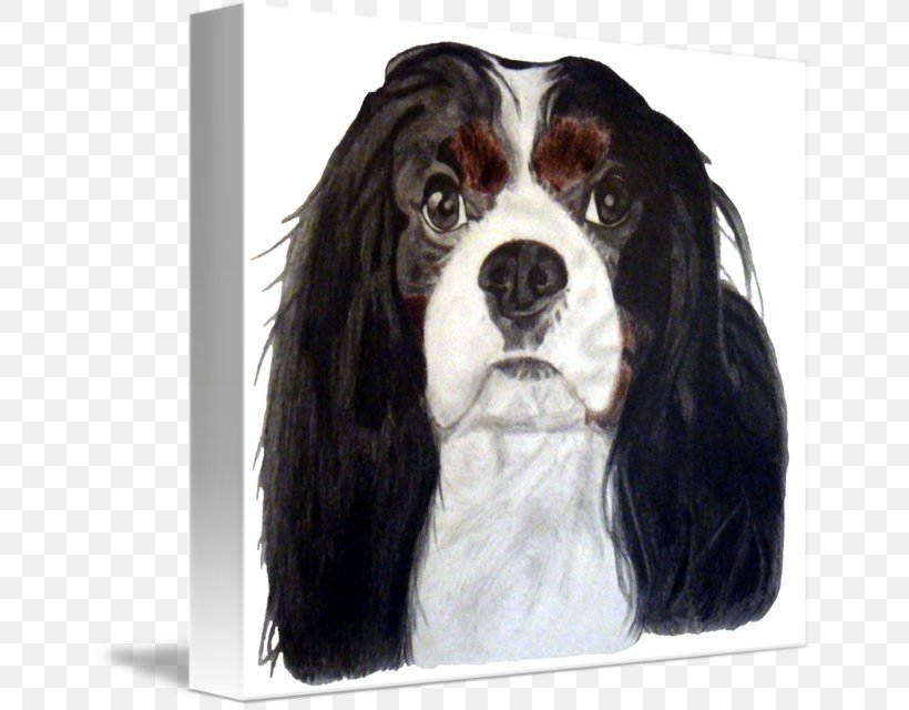 English Springer Spaniel Cavalier King Charles Spaniel Dog Breed Companion Dog, PNG, 650x640px, English Springer Spaniel, Breed, Carnivoran, Cavalier King Charles Spaniel, Companion Dog Download Free