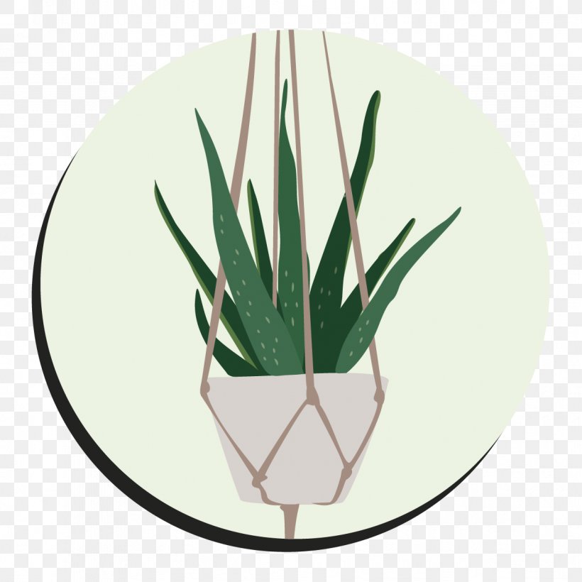 Green Leaf Flowerpot Aloes Tableware, PNG, 1182x1182px, Green, Aloe, Aloes, Dishware, Flowerpot Download Free