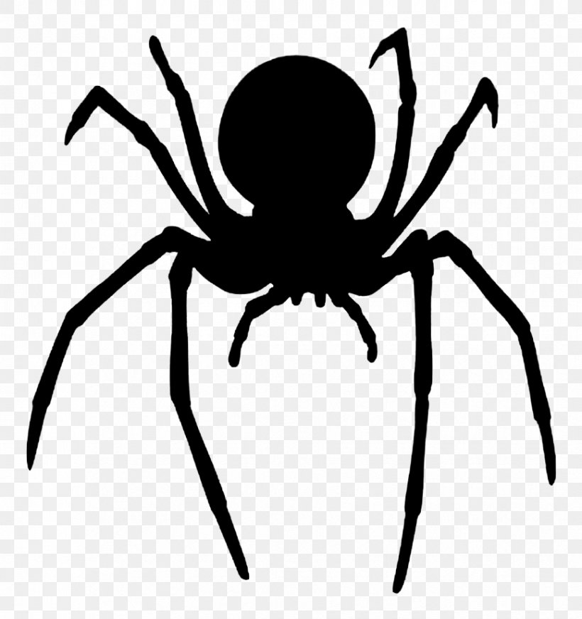 Redback Spider Southern Black Widow Latrodectus Hesperus Spider Web, PNG, 867x922px, Spider, Arachnid, Arthropod, Artwork, Black And White Download Free
