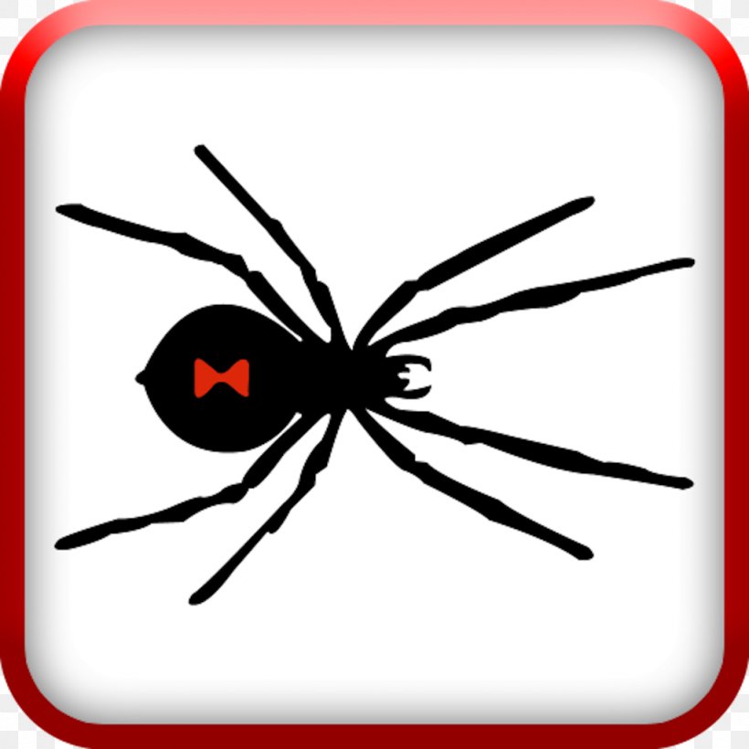 Spider Southern Black Widow Brown Widow Clip Art, PNG, 1024x1024px, Spider, Arthropod, Artwork, Brown Widow, Drawing Download Free