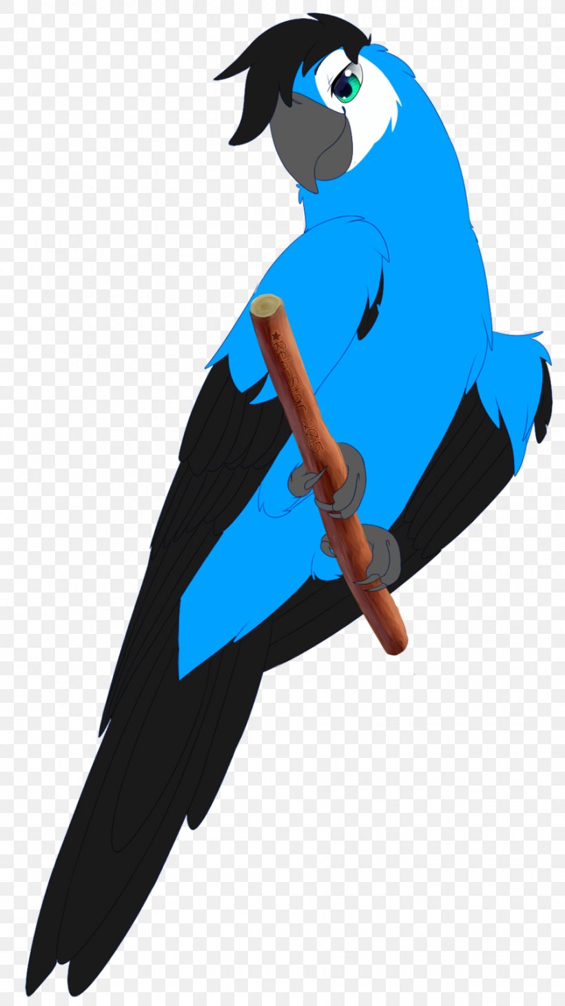 Spix's Macaw Beak Fan Art Blue-and-yellow Macaw, PNG, 900x1603px, Beak, Art, Bird, Blueandyellow Macaw, Cartoon Download Free