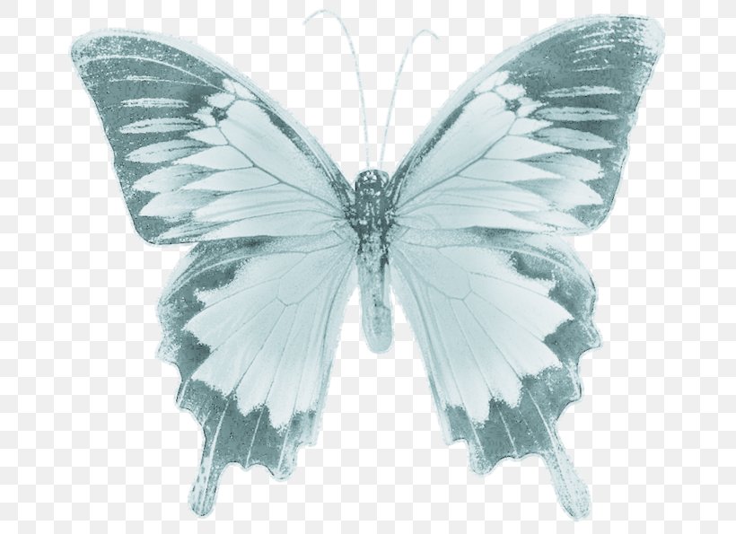 Butterfly Drawing Photography, PNG, 700x595px, Butterfly, Black And White, Butterflies And Moths, Color, Drawing Download Free