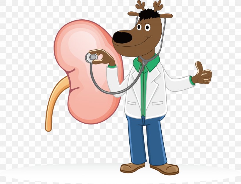 Chronic Kidney Disease Health Urology, PNG, 2849x2185px, Kidney Disease, Animated Cartoon, Animation, Art, Cartoon Download Free