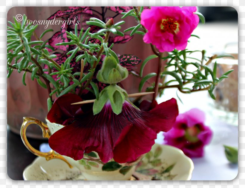 Floral Design Flowerpot Violet Family, PNG, 1600x1233px, Floral Design, Family, Family Film, Flora, Floristry Download Free