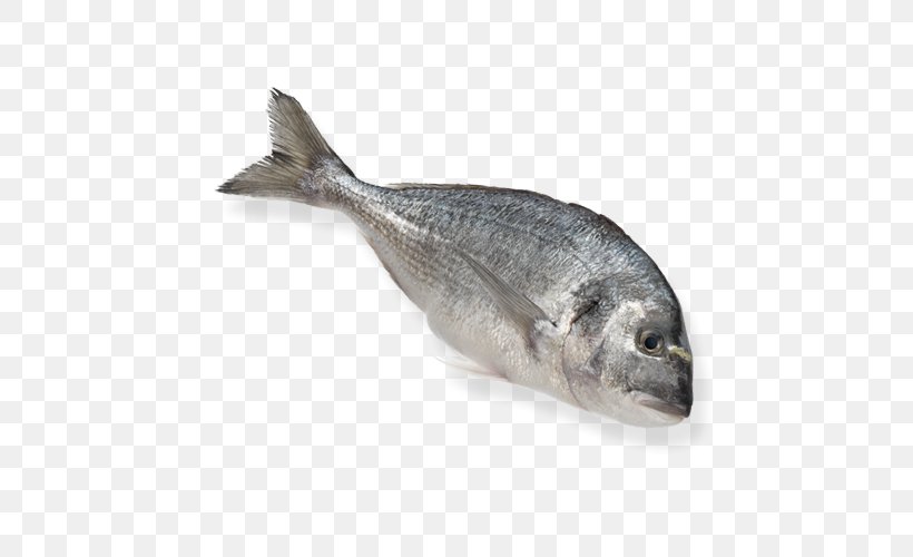Frozen Food Cartoon, PNG, 500x500px, Gilthead Bream, Aquaculture, Dabs, Fish, Fish Products Download Free