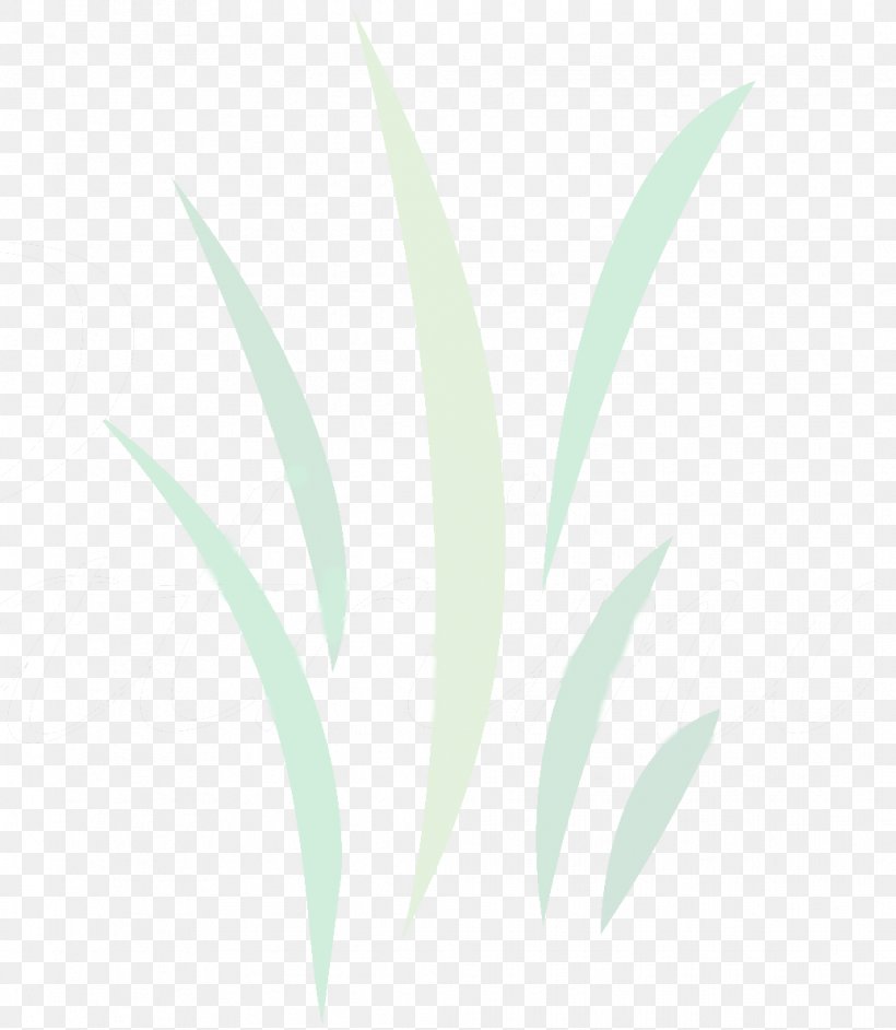 Leaf Desktop Wallpaper Plant Stem Font Close-up, PNG, 1035x1190px, Leaf, Botany, Closeup, Computer, Flower Download Free