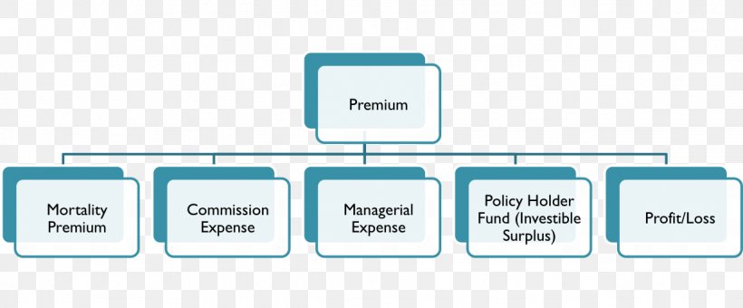 Organizational Structure Organizational Chart Management, PNG, 1234x513px, Organizational Structure, Area, Brand, Business, Chart Download Free