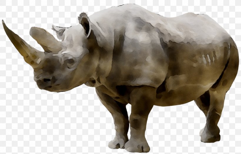 Rhinoceros Spider-Man Clip Art, PNG, 1024x656px, Rhinoceros, Animal Figure, Black Rhinoceros, Horn, Indian Rhinoceros Download Free