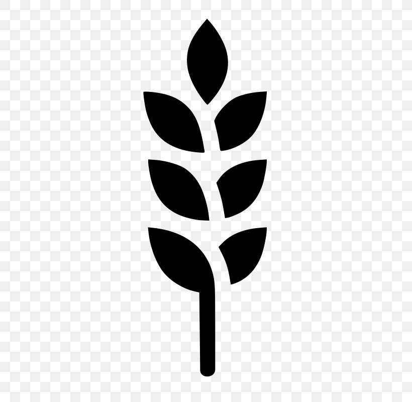Clip Art, PNG, 399x800px, Barley, Black And White, Branch, Cereal, Coix Lacrymajobi Download Free