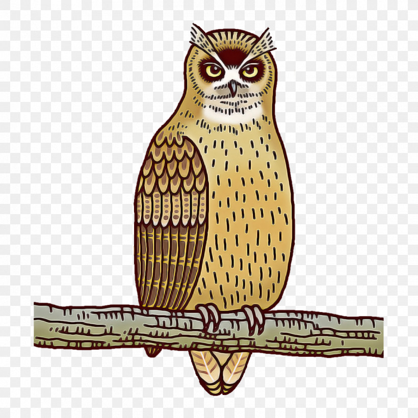 Feather, PNG, 1400x1400px, Owls, Beak, Bird Of Prey, Birds, Cartoon Download Free