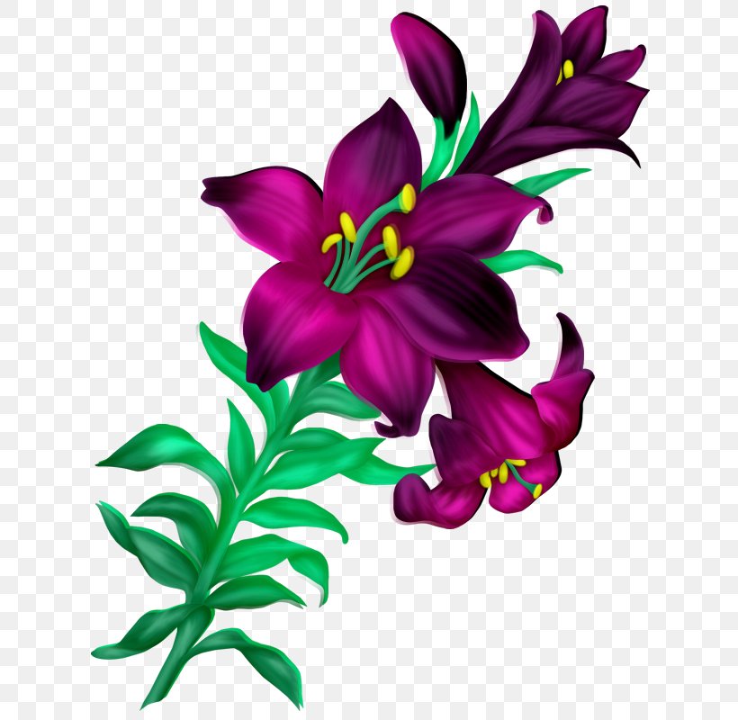 Flower Desktop Wallpaper Clip Art Png 636x800px Flower Art Chart Cut Flowers Daylily Download Free