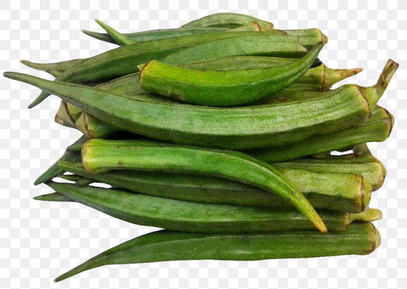 Ladyfinger Okra Vegetable Luffa, PNG, 1024x728px, Ladyfinger, Cookie, Cucumber, Cucumber Gourd And Melon Family, Finger Download Free
