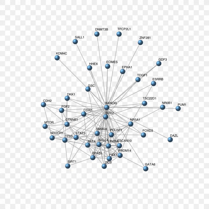 Subnetwork Igraph Computer Network Angle Vertex, PNG, 1200x1200px, Subnetwork, Blue, Body Jewellery, Body Jewelry, Computer Network Download Free