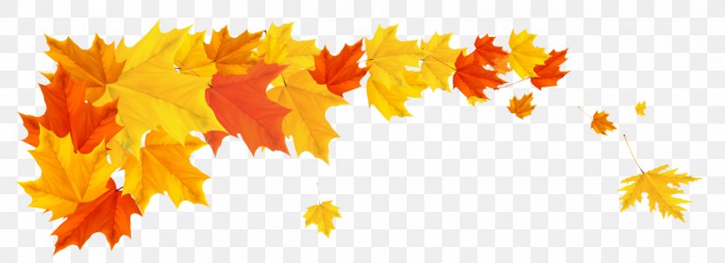 Autumn Cartoon, PNG, 1248x454px, Autumn, Autumn Leaf Color, Leaf, Maple, Maple Leaf Download Free