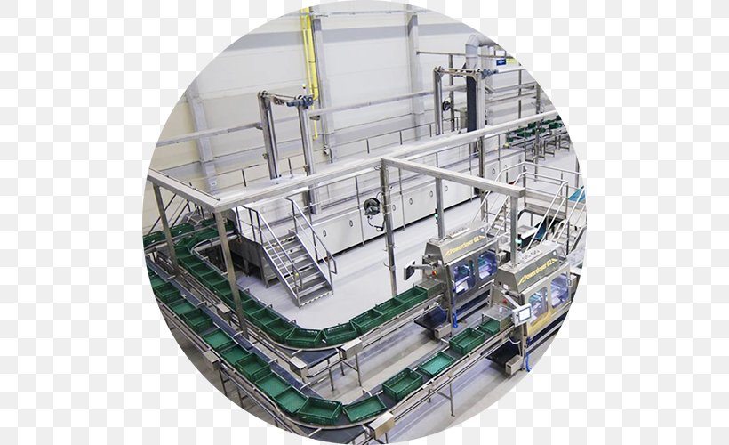 Food Industry Production Colussi Ermes Washing, PNG, 500x500px, Industry, Agribusiness, Anlage, Architecture, Automation Download Free