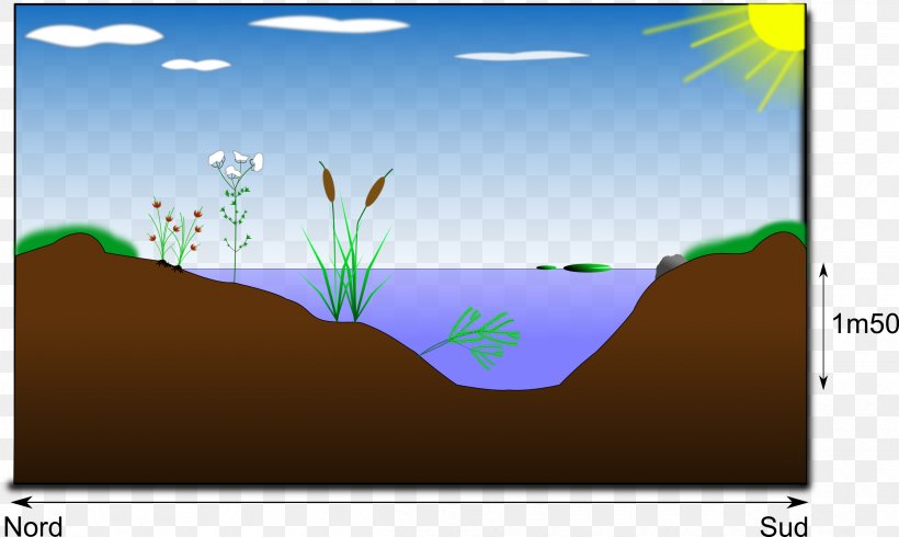 Mare Pond Clip Art, PNG, 2400x1436px, Mare, Drawing, Ecoregion, Ecosystem, Energy Download Free