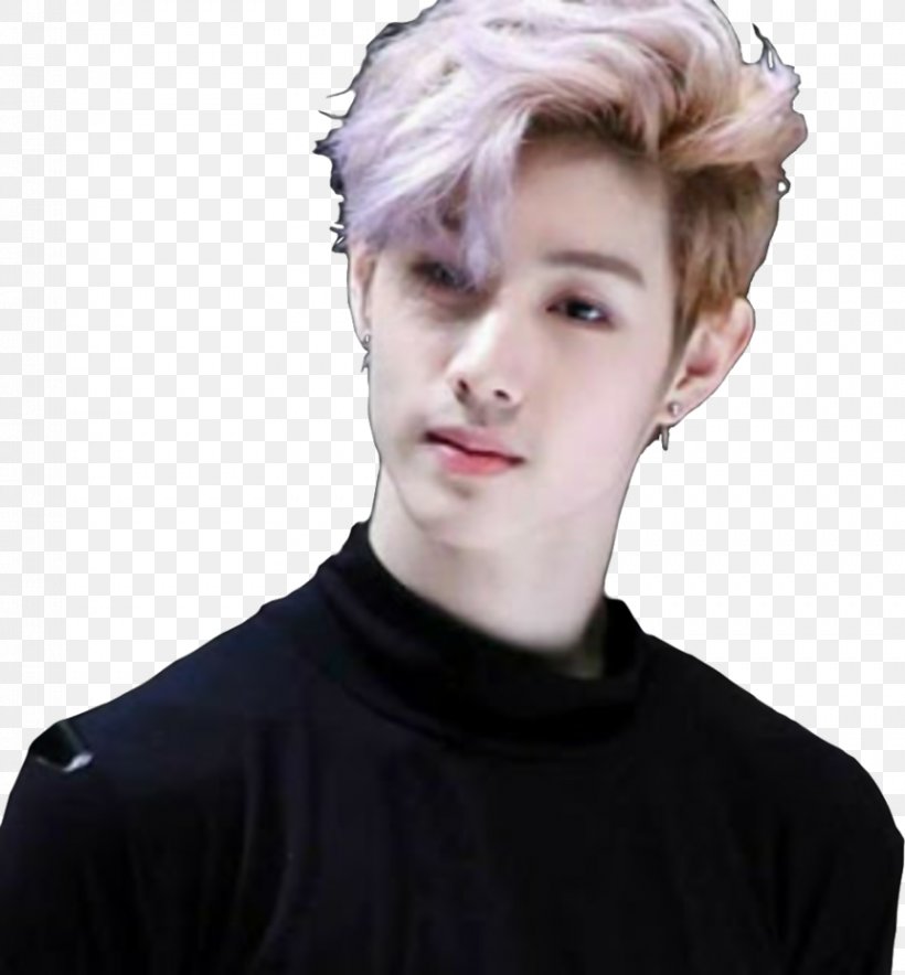 Mark Tuan GOT7 Hairstyle Male K-pop, PNG, 861x929px, Watercolor, Cartoon, Flower, Frame, Heart Download Free