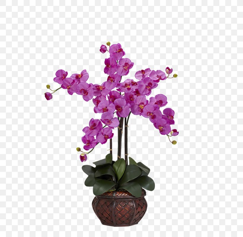 Moth Orchids Artificial Flower Vase, PNG, 691x800px, Moth Orchids, Artificial Flower, Boat Orchid, Color, Cut Flowers Download Free