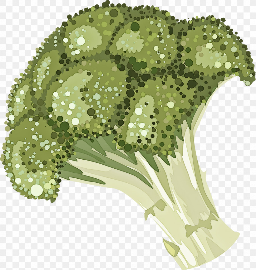 Flower Plant Leaf Broccoli Leaf Vegetable, PNG, 1764x1865px, Flower, Broccoli, Grass, Leaf, Leaf Vegetable Download Free