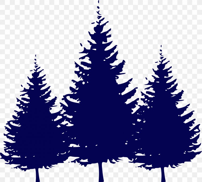 Abies Concolor Tree Pine Clip Art, PNG, 1920x1732px, Abies Concolor, Black And White, Bonsai, Branch, Christmas Decoration Download Free