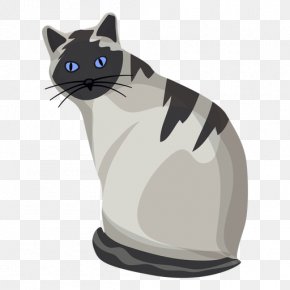 British Shorthair American Shorthair Ragdoll Vector Graphics PNG