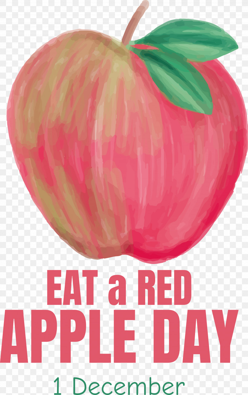 Eat A Red Apple Day Red Apple Fruit, PNG, 3833x6105px, Eat A Red Apple Day, Fruit, Red Apple Download Free