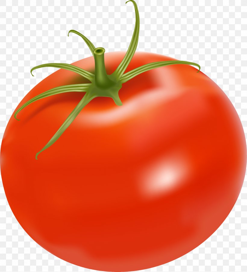 Plum Tomato Chicken Salad Bush Tomato Clip Art, PNG, 2205x2425px, Plum Tomato, Bell Pepper, Bush Tomato, Chicken Salad, Diet Food Download Free